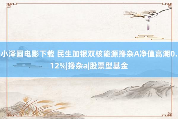 小泽圆电影下载 民生加银双核能源搀杂A净值高潮0.12%|搀杂a|股票型基金