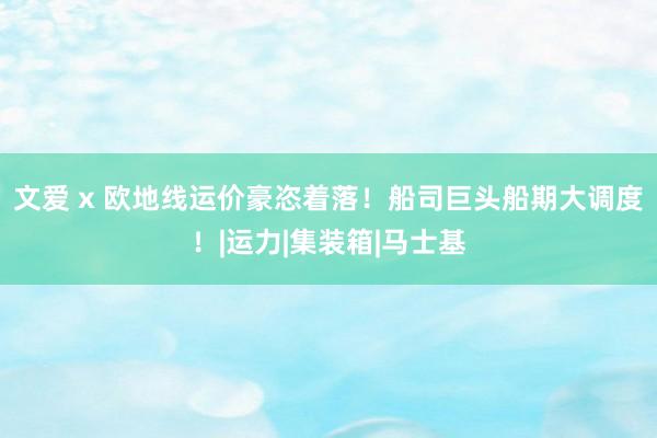 文爱 x 欧地线运价豪恣着落！船司巨头船期大调度！|运力|集装箱|马士基