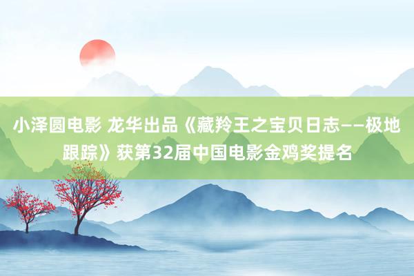小泽圆电影 龙华出品《藏羚王之宝贝日志——极地跟踪》获第32届中国电影金鸡奖提名