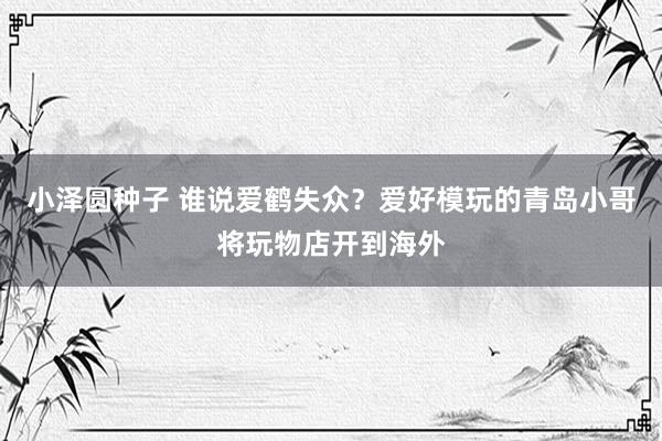 小泽圆种子 谁说爱鹤失众？爱好模玩的青岛小哥将玩物店开到海外