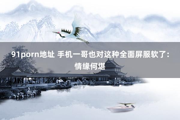 91porn地址 手机一哥也对这种全面屏服软了：情缘何堪