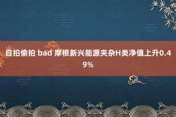 自拍偷拍 bad 摩根新兴能源夹杂H类净值上升0.49%