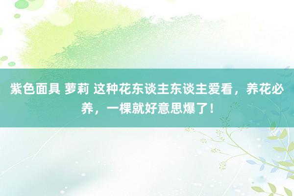 紫色面具 萝莉 这种花东谈主东谈主爱看，养花必养，一棵就好意思爆了！