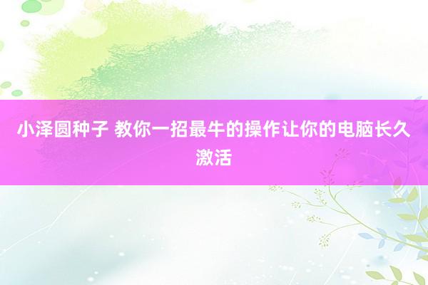 小泽圆种子 教你一招最牛的操作让你的电脑长久激活