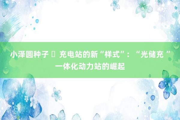 小泽圆种子 ​充电站的新“样式”：“光储充 ”一体化动力站的崛起
