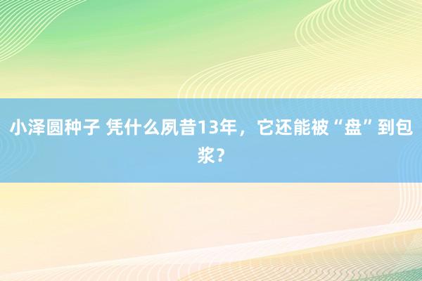 小泽圆种子 凭什么夙昔13年，它还能被“盘”到包浆？