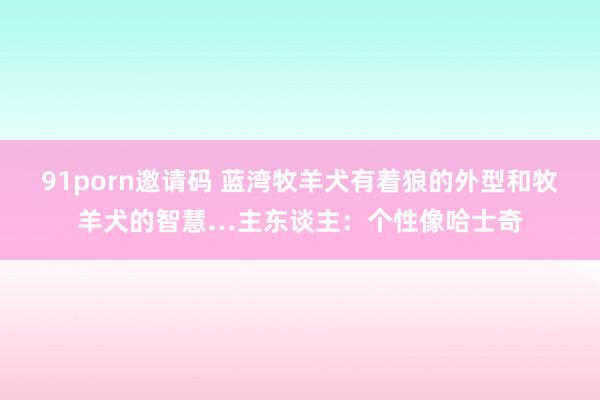 91porn邀请码 蓝湾牧羊犬有着狼的外型和牧羊犬的智慧…主东谈主：个性像哈士奇