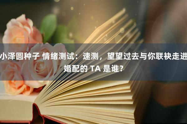 小泽圆种子 情绪测试：速测，望望过去与你联袂走进婚配的 TA 是谁？